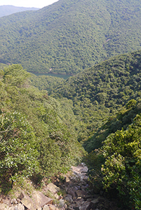 Tai Tam Country Park, 21 October 2015