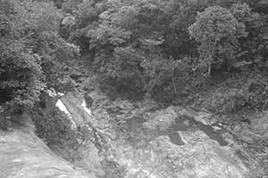 Tai Tam Country Park, 21 October 2015