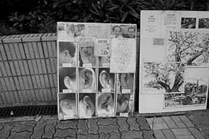 Advertisements for auriculotherapy and a painting charity sale on Sutherland Street, Sheung Wan, 3 October 2015