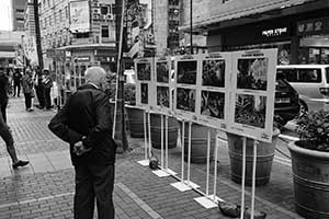 Anti-Occupy Central photographic display, Morrison Street, Sheung Wan, 14 November 2015