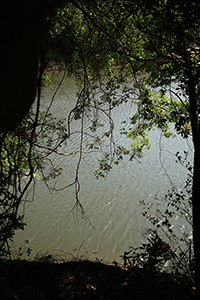 Pokfulam Reservoir, 22 November 2015