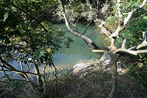 Pokfulam Country Park, 22 November 2015