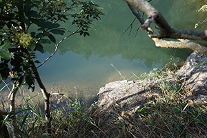 Pokfulam Country Park, 22 November 2015