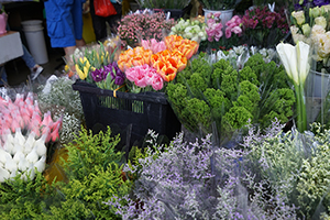 Flowers on sale, Flower Market Road, Mongkok, 1 November 2015