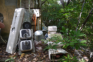 Chi Ma Wan peninsula, Lantau, 15 November 2015