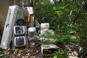 Chi Ma Wan peninsula, Lantau, 15 November 2015