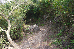 Hiking trail on the Chi Ma Wan peninsula, Lantau, 15 November 2015