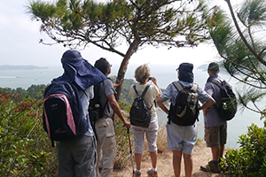 Members of the Hong Kong Natural History Society hiking on the Chi Ma Wan peninsula, Lantau, 15 November 2015