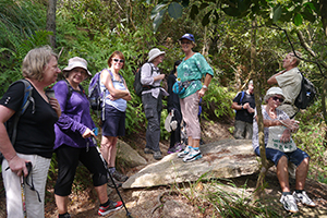 Members of the Hong Kong Natural History Society hiking on the Chi Ma Wan peninsula, Lantau, 15 November 2015