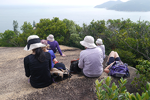 Members of the Hong Kong Natural History Society hiking on the Chi Ma Wan peninsula, Lantau, 15 November 2015