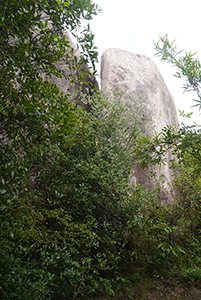 Rock, Chi Ma Wan peninsula, Lantau, 15 November 2015
