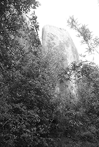 Rock, Chi Ma Wan peninsula, Lantau, 15 November 2015