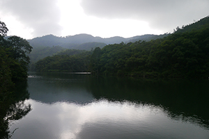 Shap Long reservoir, Chi Ma Wan, Lantau, 15 November 2015