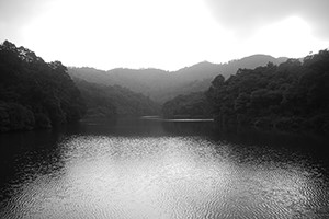 Shap Long reservoir, Chi Ma Wan, Lantau, 15 November 2015