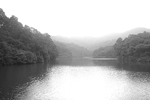 Shap Long reservoir, Chi Ma Wan, Lantau, 15 November 2015