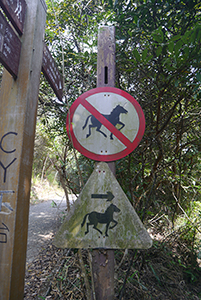 On a hiking trail between Pokfulam Reservoir and Aberdeen Reservoir, 29 November 2015