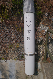 Political graffiti encountered on a trail in Aberdeen Country Park, 29 November 2015