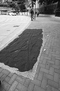 Goods drying in the street, Queen's Road West, Sheung Wan, Hong Kong Island, 2 November 2015
