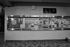 Postings concerning the  University of Hong Kong Pro Vice-chancellor selection controversy, on the democracy wall, HKU, 3 November 2015