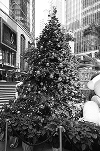 Christmas tree, Grand Millennium Plaza, Wing Lok Street, Sheung Wan, 24 December 2015