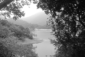 Shing Mun Reservoir, 13 December 2015