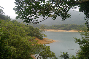 Shing Mun Reservoir, 13 December 2015