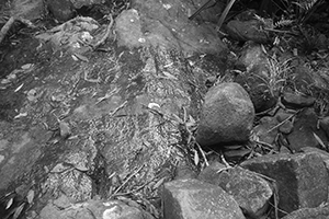 Stream, Lung Mun Country Trail, on a hike from Shing Mun Country Park to Chuen Lung Village, 13 December 2015