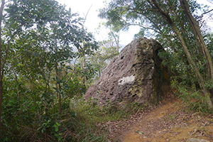 Rock, Lung Mun Country Trail, on a hike from Shing Mun Country Park to Chuen Lung Village, 13 December 2015