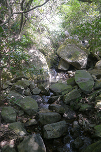 Lung Mun Country Trail, on a hike from Shing Mun Country Park to Chuen Lung Village, 13 December 2015