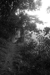 Lung Mun Country Trail, on a hike from Shing Mun Country Park to Chuen Lung Village, 13 December 2015