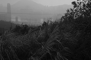 On a hike from Shing Mun Country Park to Chuen Lung Village, 13 December 2015