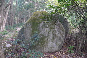 Rock, on a hike from Shing Mun Country Park to Chuen Lung Village, 13 December 2015