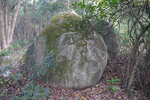 Rock, on a hike from Shing Mun Country Park to Chuen Lung Village, 13 December 2015