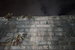 Wall at Chancery Lane, Central, 1 December 2015