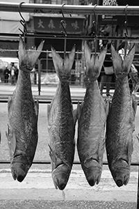 Fish being dried on the street, Des Voeux Road West, Sheung Wan, 2 January 2016