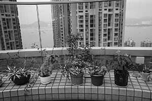 View from the Run Run Shaw Tower, University of Hong Kong, 18 January 2016
