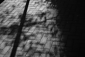 Shadows on the pavement, Queen Street, Sheung Wan, 25 January 2016