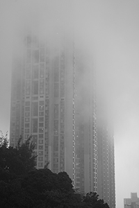 The Belcher's in fog, Pokfulam, 28 January 2016