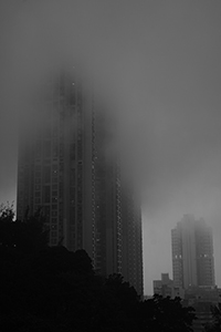 The Belcher's in fog, Pokfulam, 28 January 2016