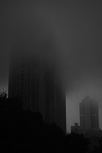 The Belcher's in fog, Pokfulam,  28 January 2016