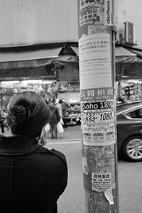 Notice on a lamppost on Possession Street about the history of the location, Sheung Wan, 31 January 2016