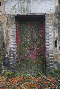 Door of an abandoned village house, Chek Kang, Sai Kung, 24 January 2016