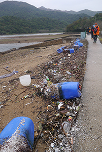 Trash on a beach at Chek Kang, Sai Kung East Country Park, 24 January 2016