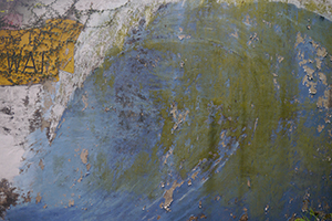 Detail of the wall of a house, Sai Kung East Country Park, 24 January 2016