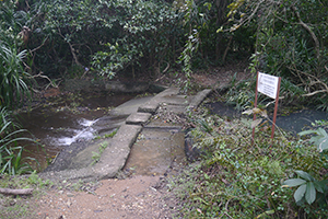 Stream and bridge, Maclehose Trail Section 2 between Chek Kang and Ham Tin Beach, Sai Kung, 24 January 2016