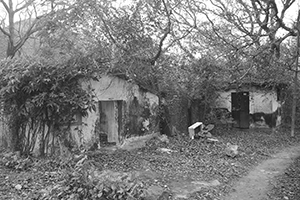 Run-down buildings, Maclehose Trail Section 2 between Chek Kang and Ham Tin Beach, Sai Kung, 24 January 2016