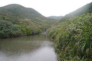 Scenery viewed from Maclehose Trail Section 2 near Sai Wan Beach, Sai Kung, 24 January 2016