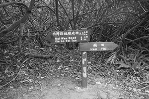 Direction signs, Maclehose Trail Section 2 near Sai Wan Beach, Sai Kung, 24 January 2016