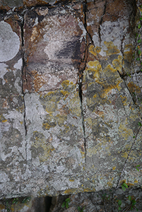 Rock, Sai Kung, 24 January 2016