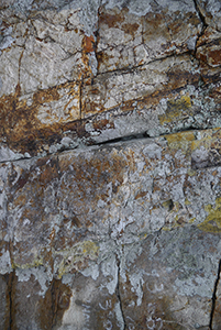 Rock, Sai Kung, 24 January 2016